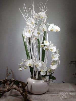 coupe d'orchidée blanche avec feuilles et supports blancs