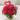 bouquet de roses grenadine1