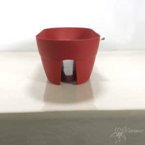 jardinière cavalière pris de coupe